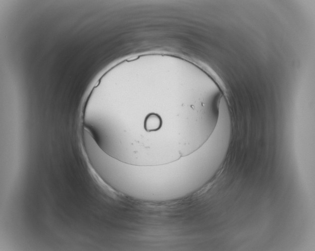 X0000110931532200907161529