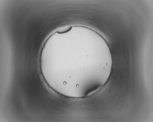 X0000110931534200907161529