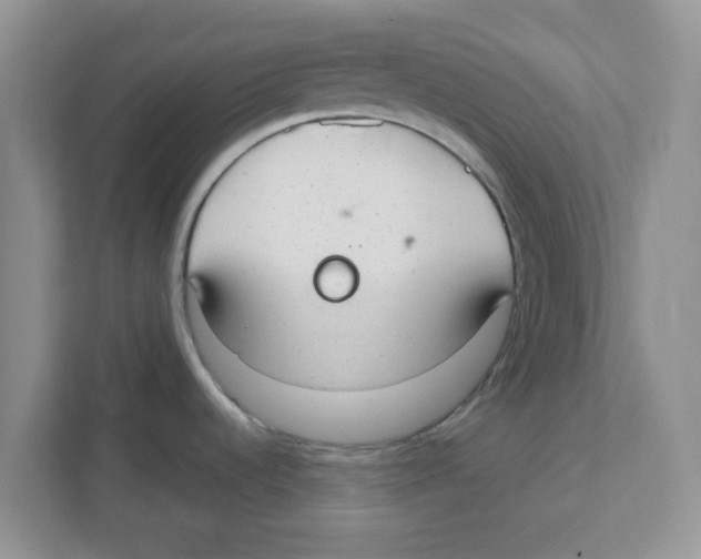 X0000110931536200907161529