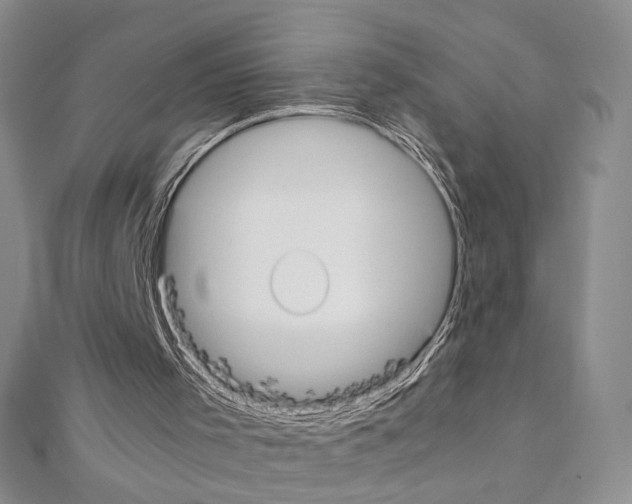 X0000110930001200907301633