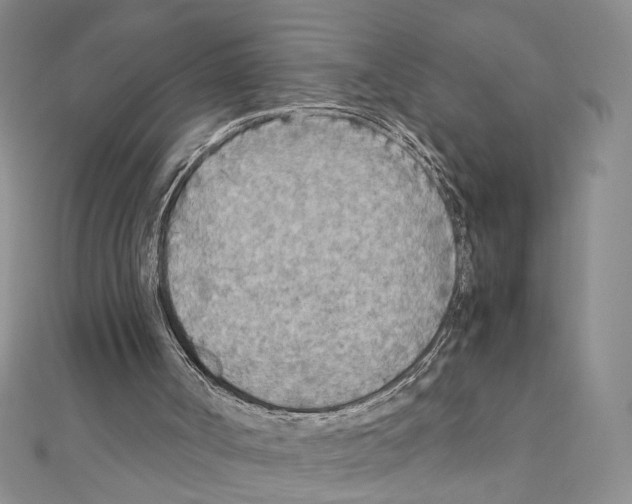 X0000110930002200907301633