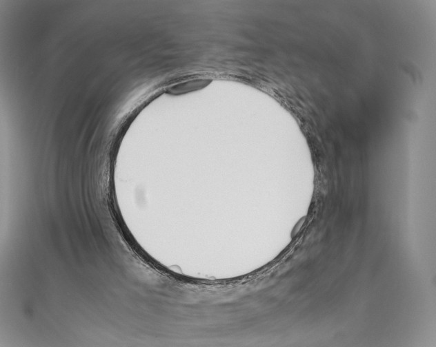 X0000110930005200907301633