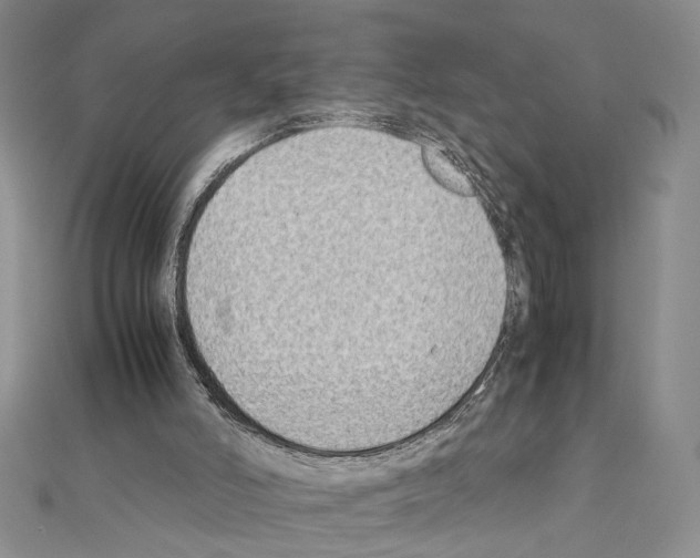 X0000110930006200907301633