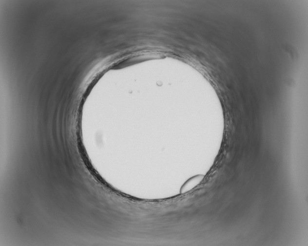 X0000110930007200907301633