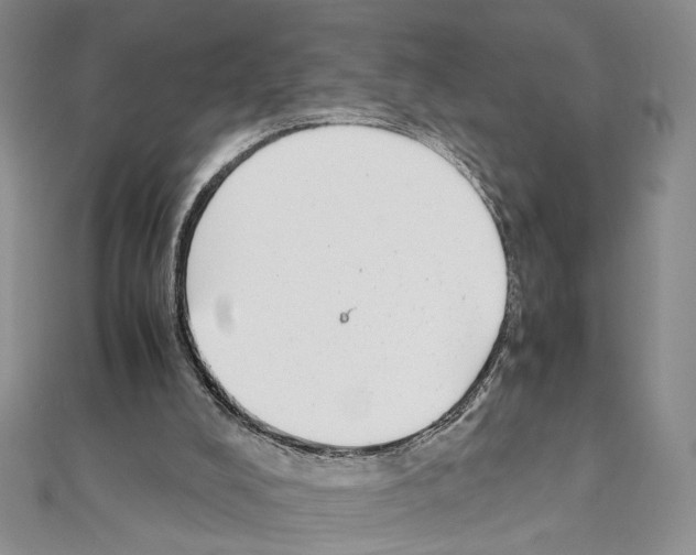 X0000110930008200907301633