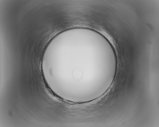 X0000110930009200907301633