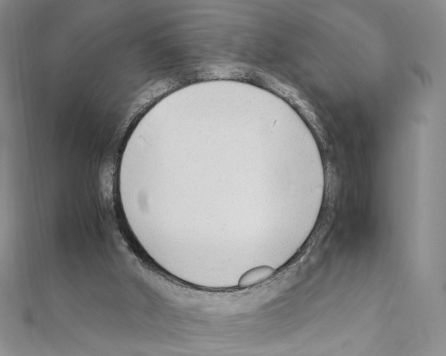 X0000110930010200907301633