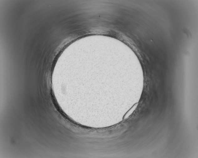 X0000110930011200907301633