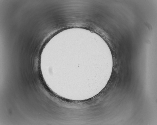 X0000110930012200907301633