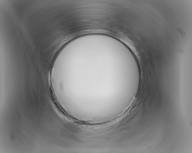 X0000110930013200907301633