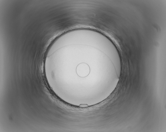 X0000110930015200907301633