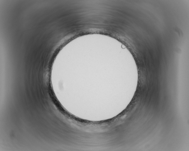 X0000110930016200907301633