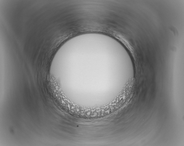 X0000110930017200907301633