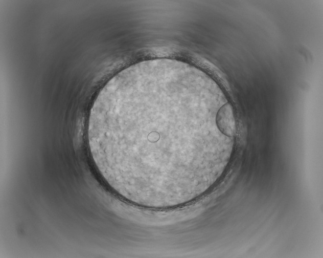 X0000110930018200907301633