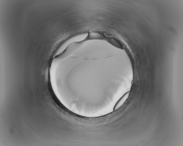 X0000110930019200907301633