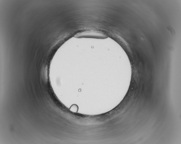 X0000110930020200907301633