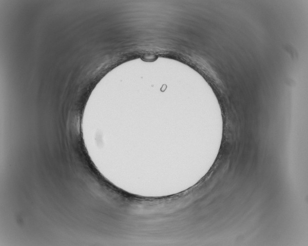 X0000110930021200907301633