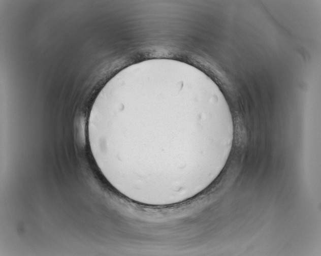 X0000110930022200907301633