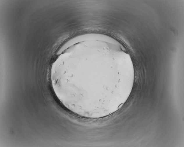 X0000110930023200907301633