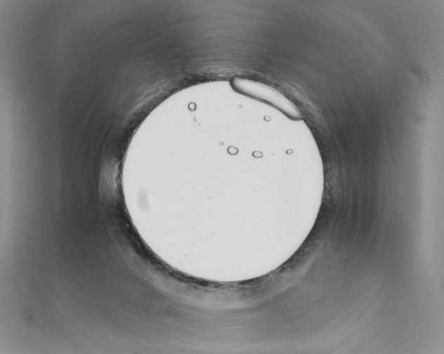 X0000110930024200907301633
