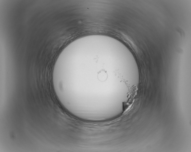 X0000110930025200907301633