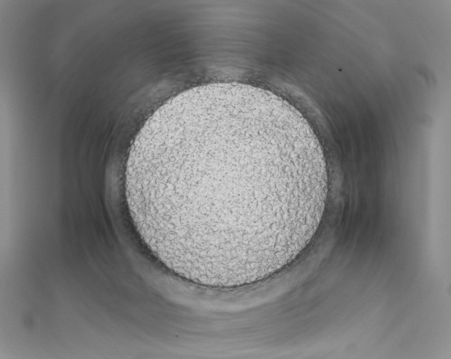 X0000110930026200907301633