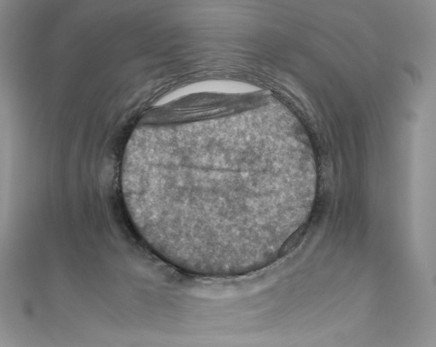 X0000110930029200907301633