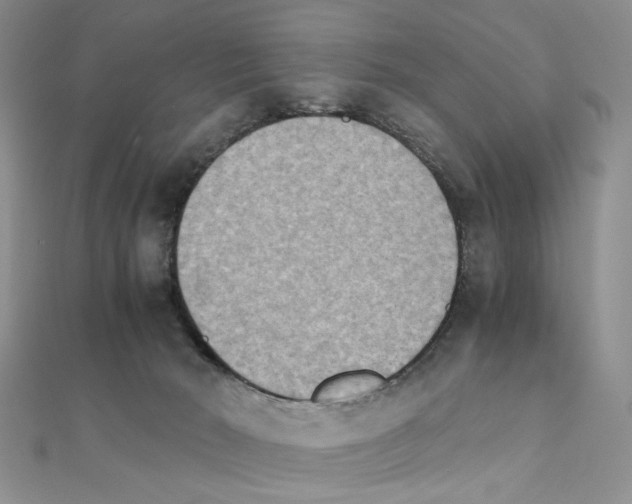 X0000110930030200907301633