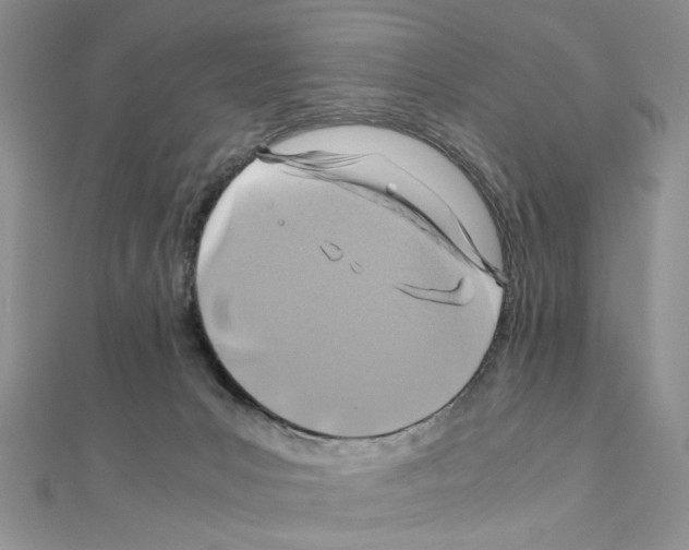 X0000110930031200907301633