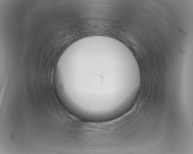 X0000110930033200907301633