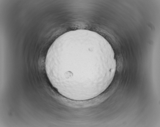 X0000110930034200907301633