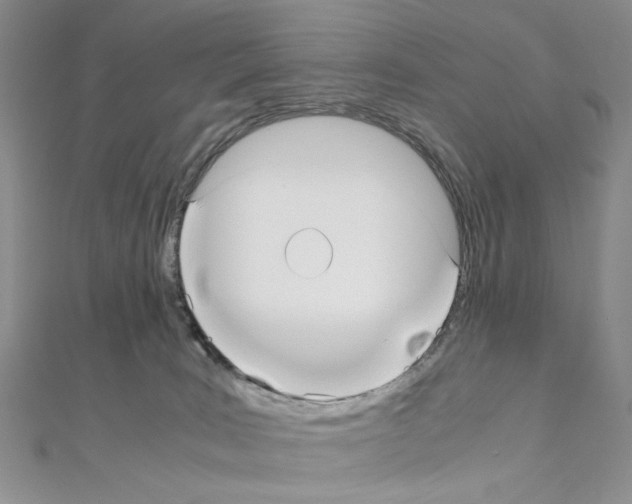 X0000110930035200907301633