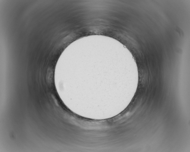 X0000110930036200907301633
