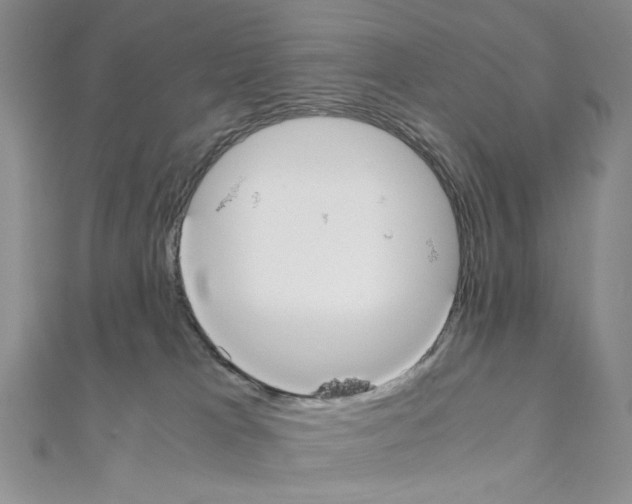 X0000110930037200907301633