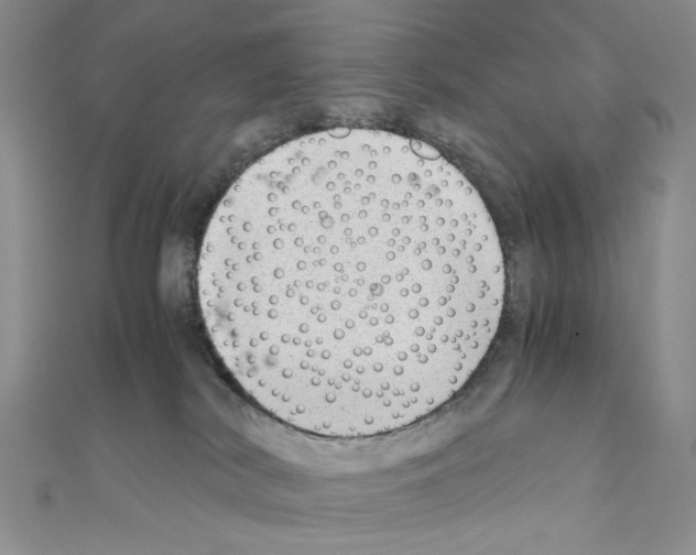 X0000110930038200907301633