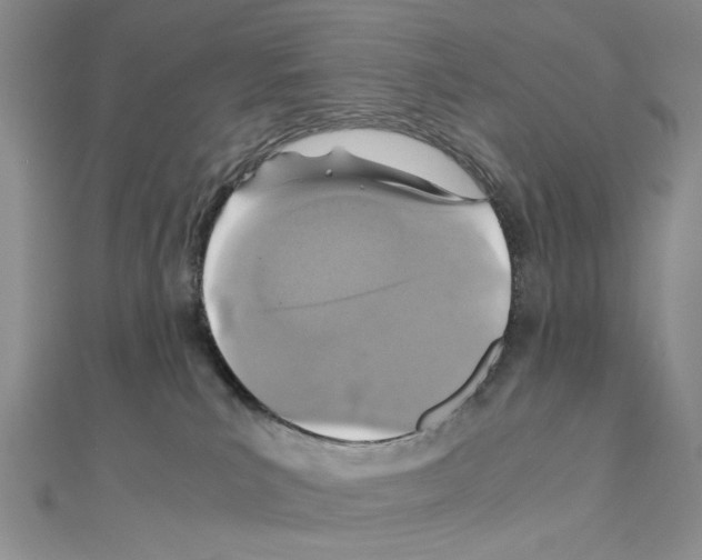 X0000110930039200907301633