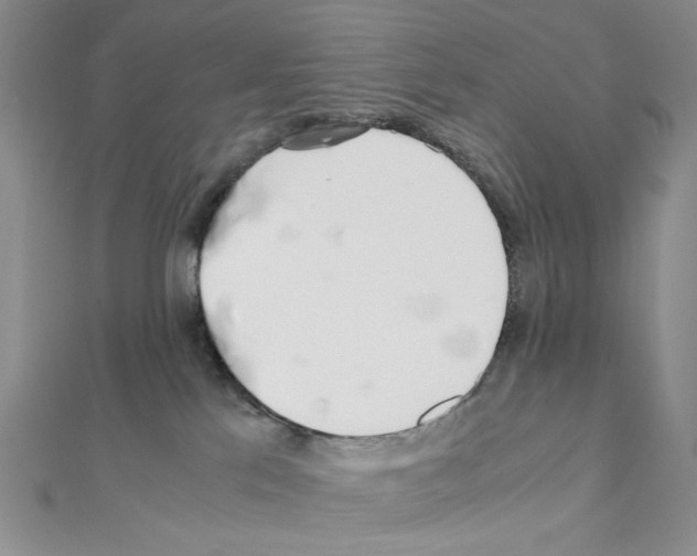 X0000110930041200907301633