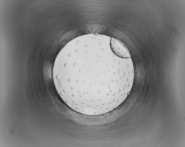 X0000110930042200907301632