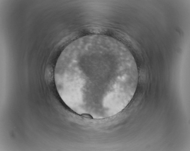 X0000110930043200907301632