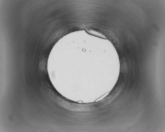 X0000110930044200907301632