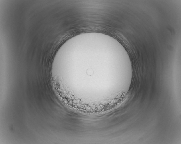 X0000110930045200907301632