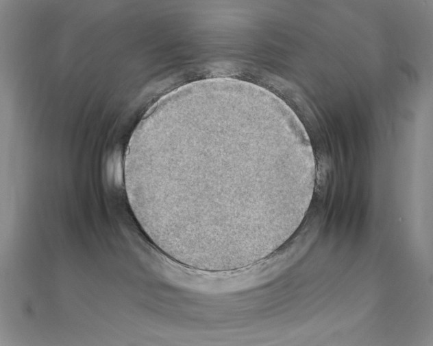 X0000110930046200907301632