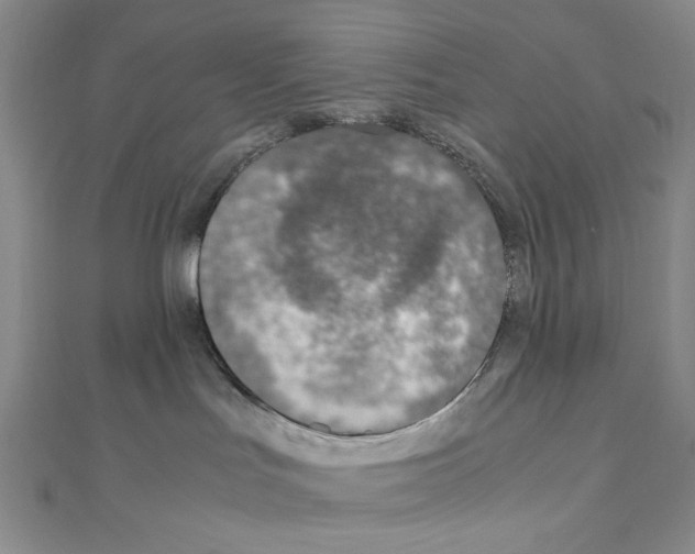 X0000110930047200907301632