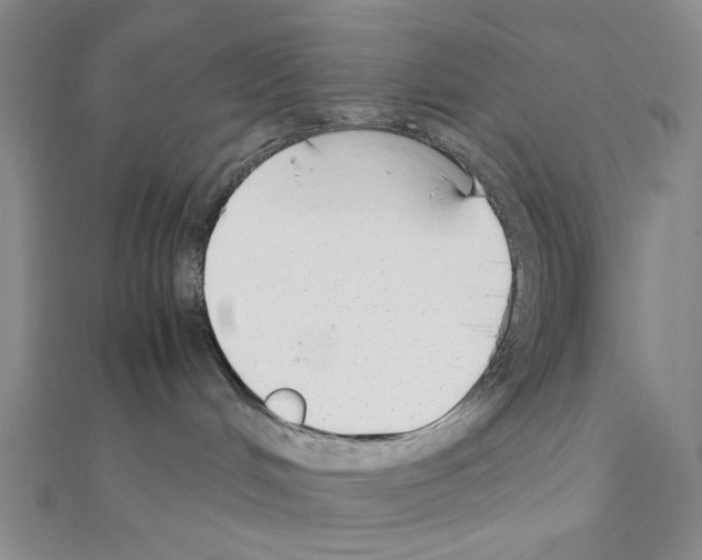 X0000110930048200907301632