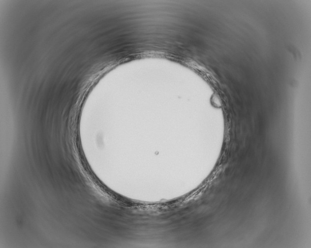 X0000110930049200907301632
