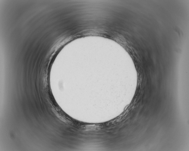 X0000110930050200907301632