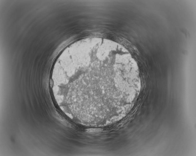 X0000110930051200907301632