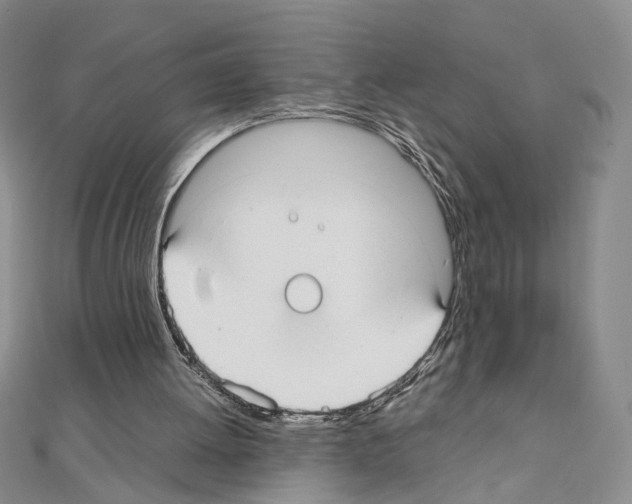 X0000110930052200907301632