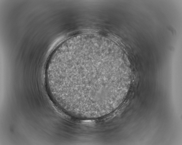 X0000110930053200907301632