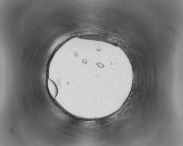 X0000110930054200907301632